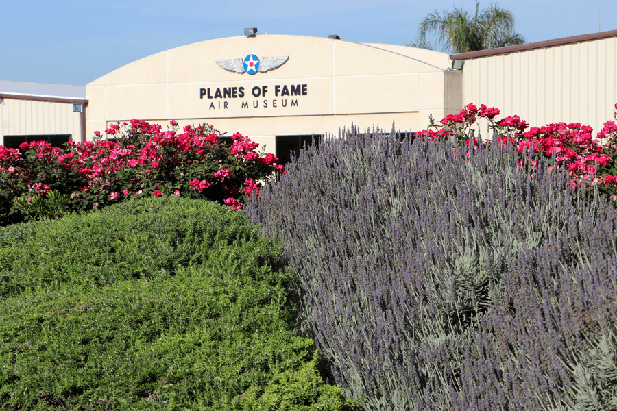 A front view of the Planes of Fame museum with the name on the building with its logo above the name. Wings and a circle with a star in the middle and forefront are bushes and lavender flowers on the right.